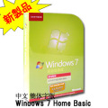 �ȑ̎���Windows 7 Home Basic
